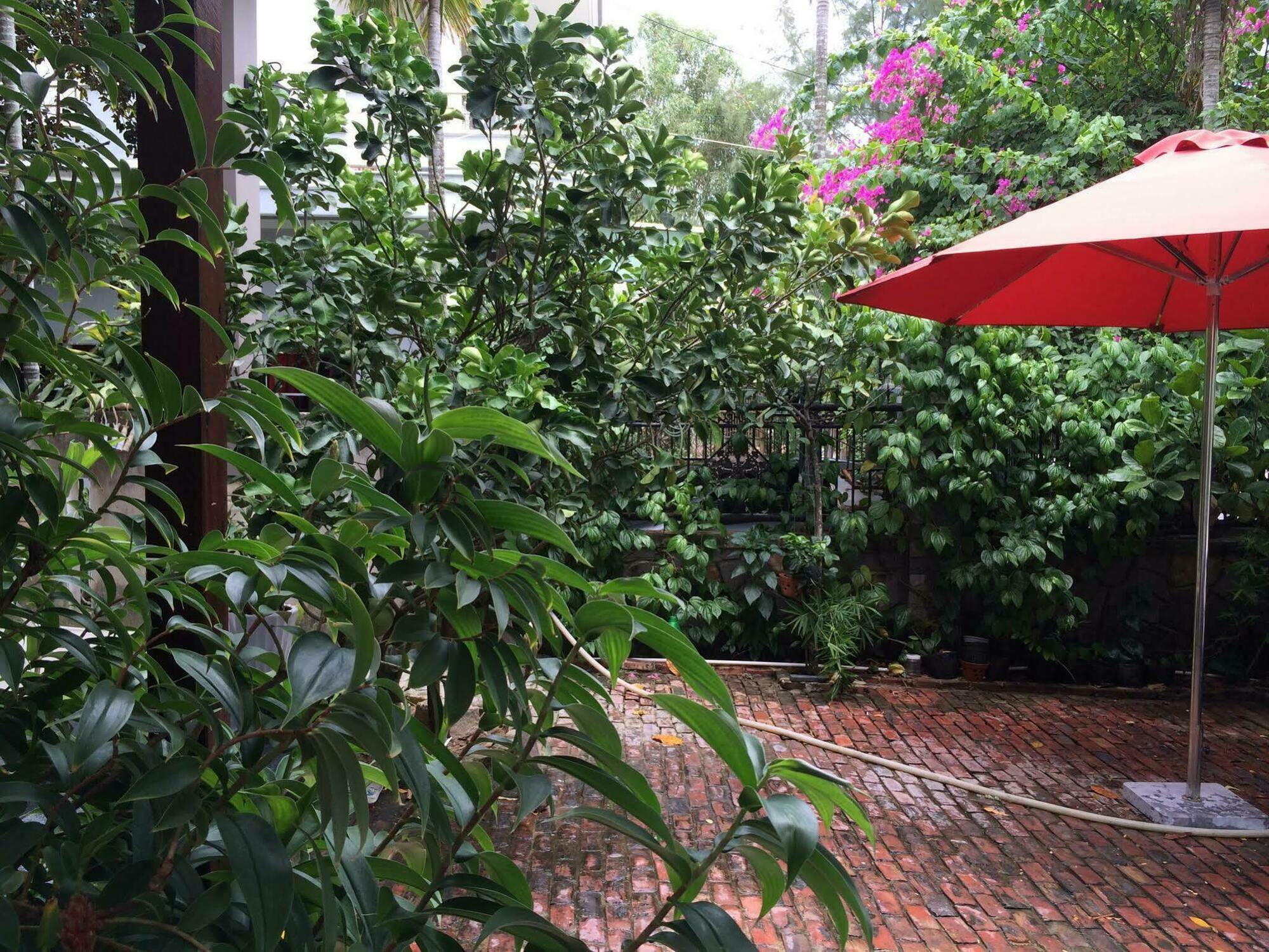 Mama'S House Hoi An Homestay Dış mekan fotoğraf